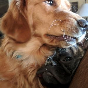 Meet your Posher, Jayme